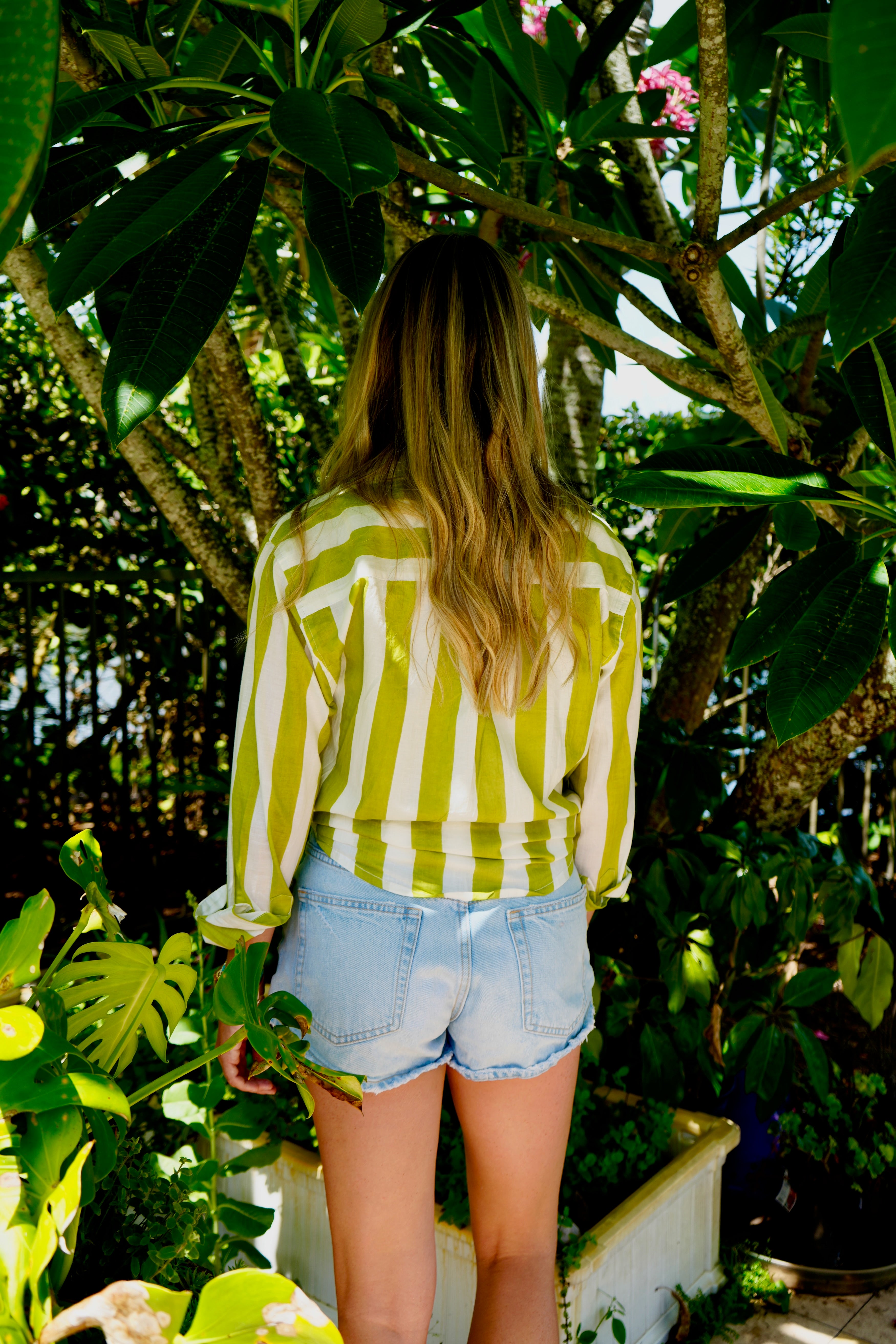 Boyfriend Shirt | Cabana Stripes | Sage Green